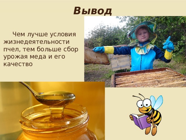 Вывод Чем лучше условия жизнедеятельности пчел, тем больше сбор урожая меда и его качество 