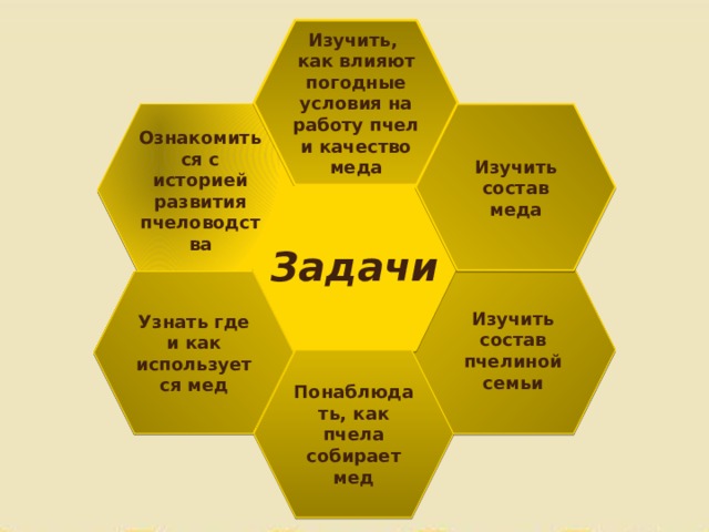 Изучить, как влияют погодные условия на работу пчел и качество меда Ознакомиться с историей развития пчеловодства Изучить состав меда Задачи Изучить состав пчелиной семьи Узнать где и как используется мед Понаблюдать, как пчела собирает мед 