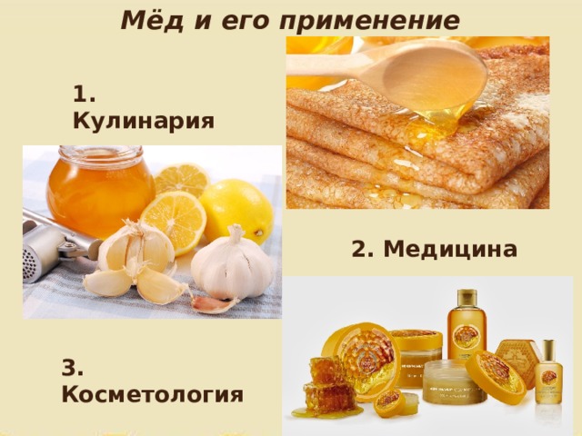 Мёд и его применение 1. Кулинария 2. Медицина 3. Косметология 
