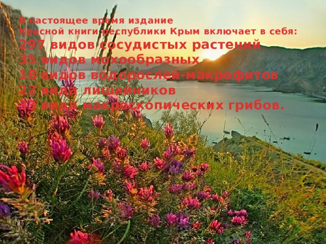 В настоящее время издание Красной книги республики Крым включает в себя: 297 видов сосудистых растений 35 видов мохообразных 18 видов водорослей-макрофитов 22 вида лишайников 33 вида макроскопических грибов. 