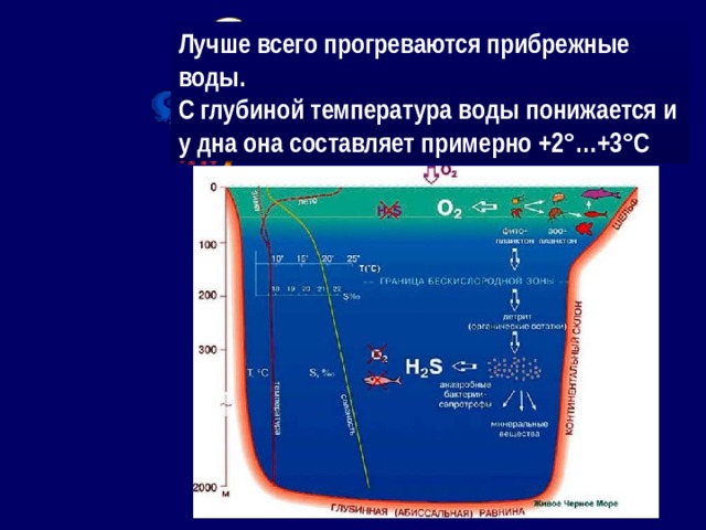 Лучше всего прогреваются прибрежные воды. С глубиной температура воды понижается и у дна она составляет примерно +2°…+3°С 