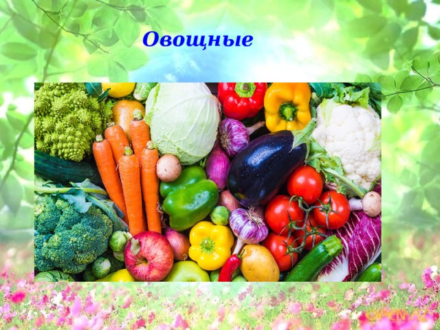 Овощные 