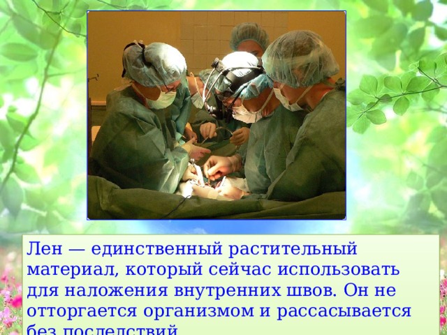  Лен — единственный растительный материал, который сейчас использовать для наложения внутренних швов. Он не отторгается организмом и рассасывается без последствий. 