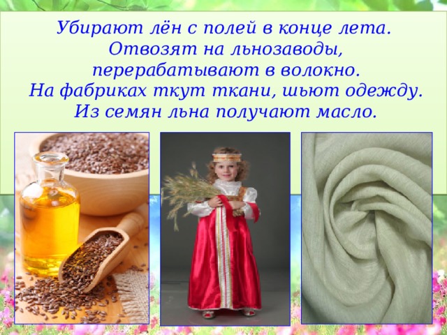  Убирают лён с полей в конце лета.  Отвозят на льнозаводы,  перерабатывают в волокно.  На фабриках ткут ткани, шьют одежду.  Из семян льна получают масло.      