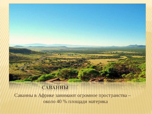  Саванны в Африке занимают огромное пространства – около 40 % площади материка 