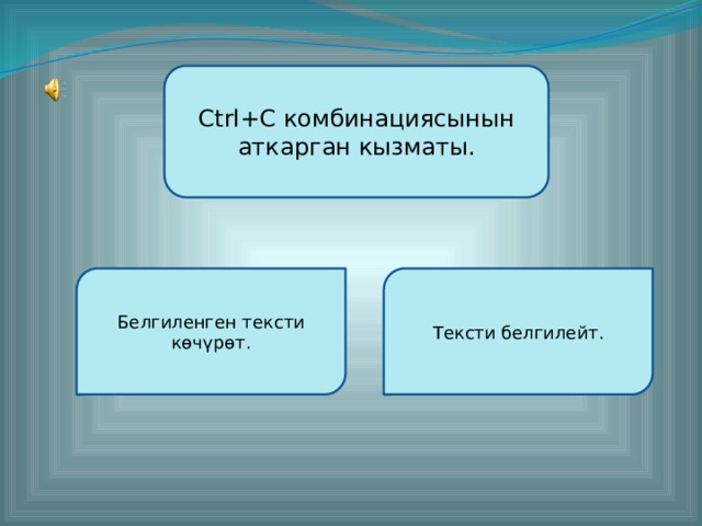 Ctrl+С комбинациясынын аткарган кызматы. Белгиленген тексти көчүрөт. Тексти белгилейт. Түзгөн: Кайымов Шайырбек  