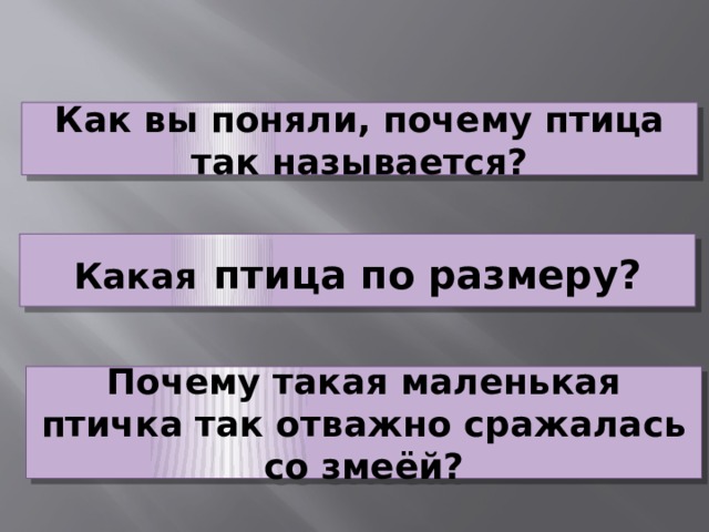 Как вы поняли, почему птица так называется? Какая  птица по размеру? Почему такая маленькая птичка так отважно сражалась со змеёй? 