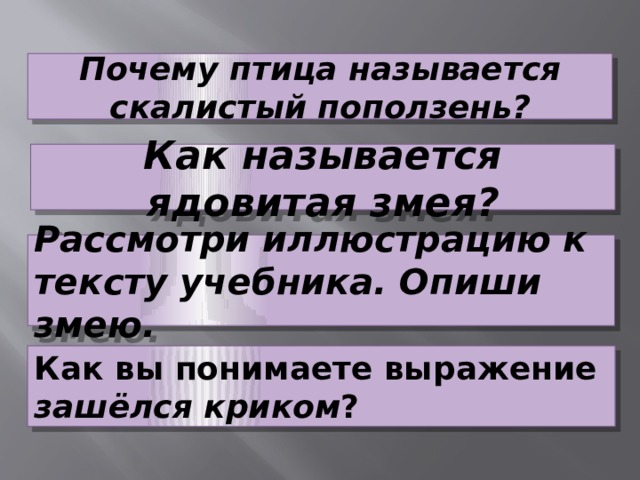 Почему птица называется скалистый поползень? Как называется ядовитая змея? Рассмотри иллюстрацию к тексту учебника. Опиши змею. Как вы понимаете выражение зашёлся криком ? 