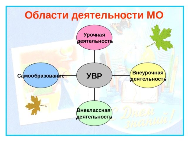 Область деятельности