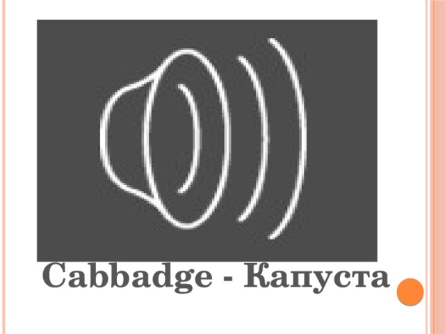 Cabbadge - Капуста 