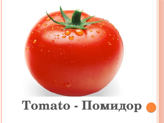 Tomato - Помидор 