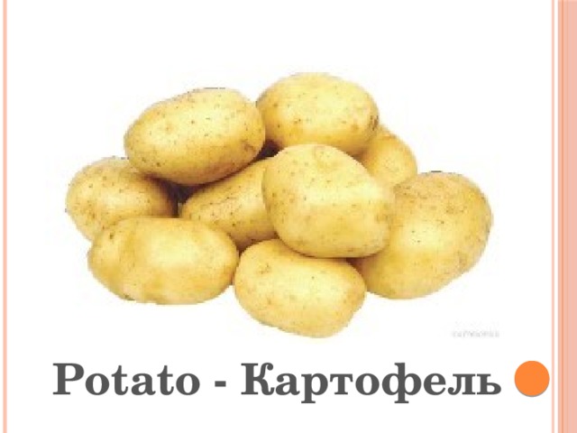 Potato - Картофель 