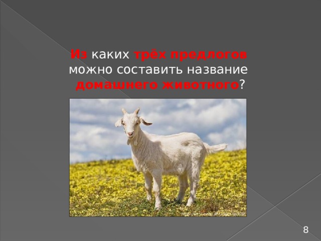 Из каких трёх предлогов  можно составить название домашнего животного ? 8 