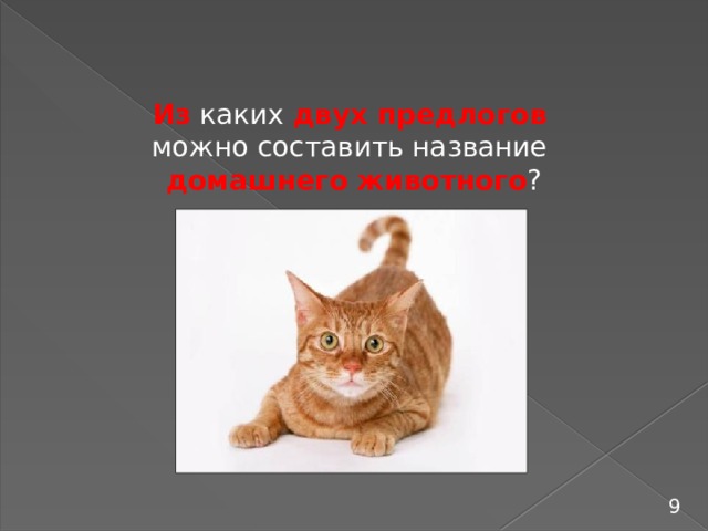 Из каких двух предлогов  можно составить название домашнего животного ? 9 