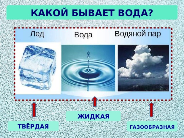 Какой бывает вода? ЖИДКАЯ ТВЁРДАЯ ГАЗООБРАЗНАЯ 