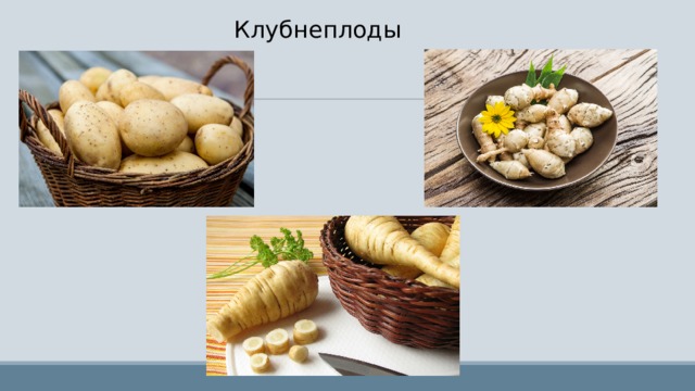 Клубнеплоды. Ассортимент корнеплодов и клубнеплодов. Клубнеплоды картинки. Перечислите клубнеплоды.