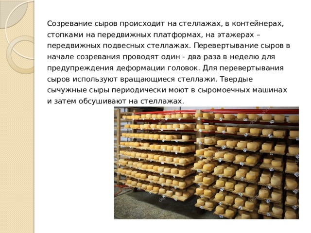 Созревание сыров происходит на стеллажах, в контейнерах, стопками на передвижных платформах, на этажерах – передвижных подвесных стеллажах. Перевертывание сыров в начале созревания проводят один - два раза в неделю для предупреждения деформации головок. Для перевертывания сыров используют вращающиеся стеллажи. Твердые сычужные сыры периодически моют в сыромоечных машинах и затем обсушивают на стеллажах. 