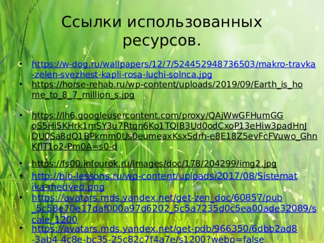 Ссылки использованных ресурсов. https://w-dog.ru/wallpapers/12/7/524452948736503/makro-travka-zelen-svezhest-kapli-rosa-luchi-solnca.jpg https://horse-rehab.ru/wp-content/uploads/2019/09/Earth_is_home_to_8_7_million_s.jpg  https://lh6.googleusercontent.com/proxy/QAjWwGFHumGGoS5Hi5KHrk1mSY3u7Rtqn6Ko1TQIB3Ud0odCxoP13eHiw3padHnJDU0Sa8dQ1BPkmm0Us0eumeaxKsxSdrh-e8E18Z5evFcFVuwo_GhnKflT1o2-Pm0A=s0-d  https://fs00.infourok.ru/images/doc/178/204299/img2.jpg  http://bio-lessons.ru/wp-content/uploads/2017/08/Sistematika-medved.png https://avatars.mds.yandex.net/get-zen_doc/60857/pub_5c58e70e17daf000a97d6202_5c5a7235d0c5ea00ade32089/scale_1200 https://avatars.mds.yandex.net/get-pdb/966350/6dbb2ad8-3ab4-4c8e-bc35-25c82c7f4a7e/s1200?webp=false https://ds04.infourok.ru/uploads/ex/04de/000eaadd-54e6e58a/img9.jpg https://for-teacher.ru/edu/data/img/pic-023ka6c8b0-007.jpg  
