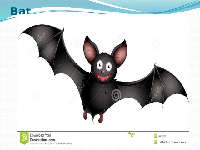 Bat 