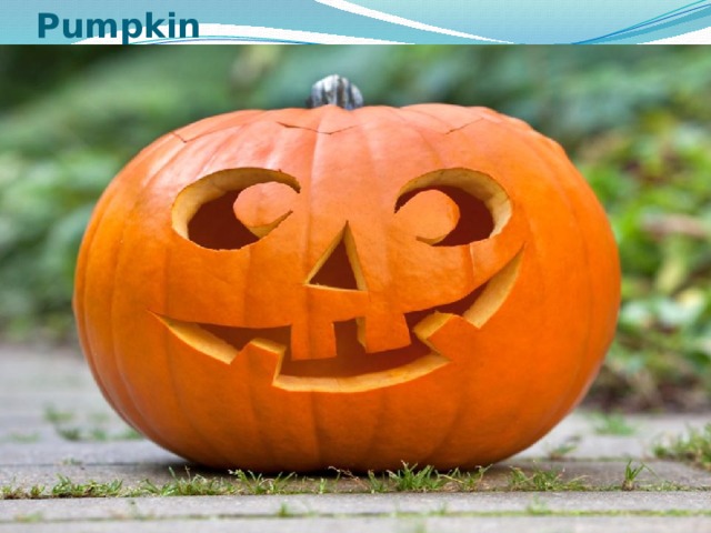 Pumpkin 