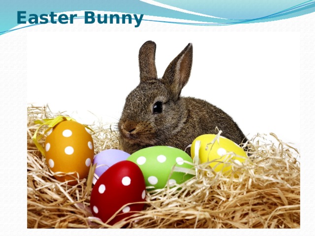 Easter Bunny 
