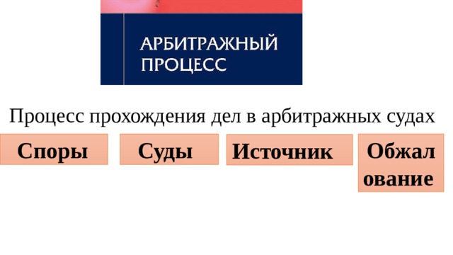 Процессуальные отрасли права 10 класс презентация