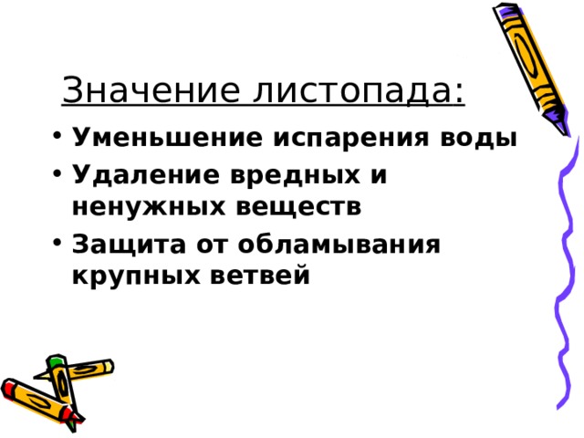 Значение листопада : Уменьшение испарения воды Удаление вредных и ненужных веществ Защита от обламывания крупных ветвей 