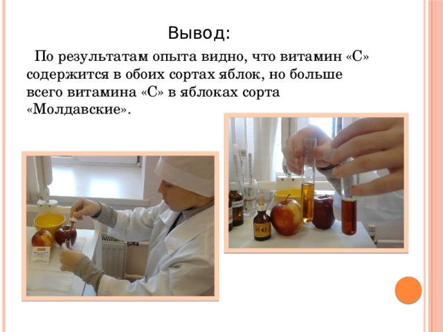  Вывод:  По результатам опыта видно, что витамин «С» содержится в обоих сортах яблок, но больше всего витамина «С» в яблоках сорта «Молдавские». 
