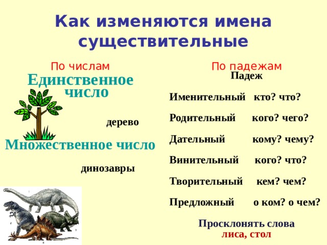 Изменить существительное. Как изменяются имена существительные. Как изменяется имя существительное. Как изменяется имя существительное 4 класс. Как изменяется имя существительное по числам.