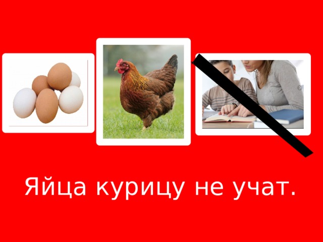 Яйца курицу не учат. 