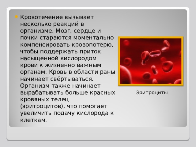 Первая доврачебная помощь Частная школа. 8 класс