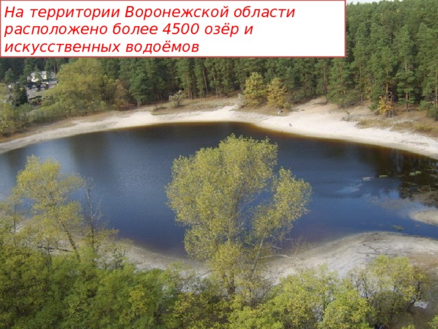 На территории Воронежской области расположено более 4500 озёр и искусственных водоёмов 