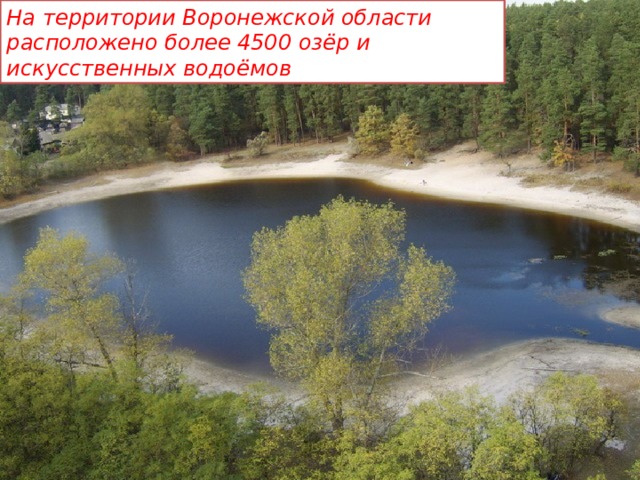 Сколько водоемов. Водоемы Воронежского края. Искусственные водоемы Воронежской области. Искусственные водоемы Воронежского края. Водные объекты Воронежского края.