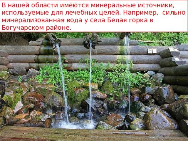 В нашей области имеются минеральные источники, используемые для лечебных целей. Например,  сильно минерализованная вода у села Белая горка в Богучарском районе. 