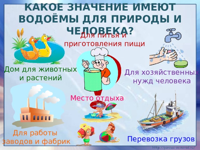 Какое значение имеют водоёмы для природы и человека? Для питья и приготовления пищи Дом для животных и растений Для хозяйственных нужд человека Место отдыха Для работы заводов и фабрик Перевозка грузов 