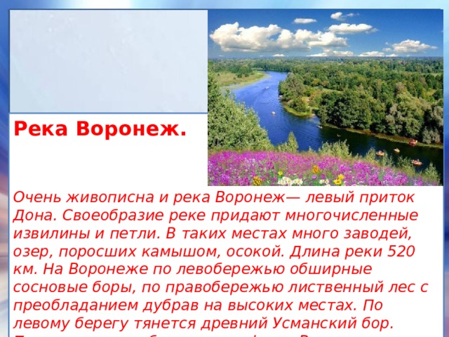 Река Воронеж.   Очень живописна и река Воронеж— левый приток Дона. Своеобразие реке придают многочисленные извилины и петли. В таких местах много заводей, озер, поросших камышом, осокой. Длина реки 520 км. На Воронеже по левобережью обширные сосновые боры, по правобережью лиственный лес с преобладанием дубрав на высоких местах. По левому берегу тянется древний Усманский бор. Петровские корабельные верфи на Воронеже — колыбель военно-морского флота России. 