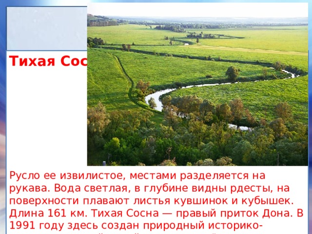 Тихая Сосна.       Русло ее извилистое, местами разделяется на рукава. Вода светлая, в глубине видны рдесты, на поверхности плавают листья кувшинок и кубышек. Длина 161 км. Тихая Сосна — правый приток Дона. В 1991 году здесь создан природный историко-археологический музей-заповедник 