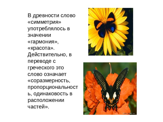 В древности слово «симметрия» употреблялось в значении «гармония», «красота». Действительно, в переводе с греческого это слово означает «соразмерность, пропорциональность, одинаковость в расположении частей». 