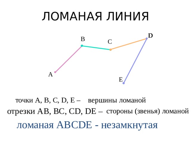 ЛОМАНАЯ ЛИНИЯ D D В C А E точки А, В, С, D, E – вершины ломаной отрезки АВ, ВС, CD, DE – стороны (звенья) ломаной ломаная ABCDE - незамкнутая 