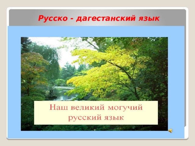 Русско - дагестанский язык 