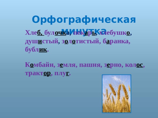 Орфографическая минутка Хле б, бул очк а, пек а р ь , хлебушк о , душ и стый , з о л о тистый, б а ранка, бубл ик . К о мбайн, з е мля, пашня, з е рно, кол ос , тракт ор , плу г . 