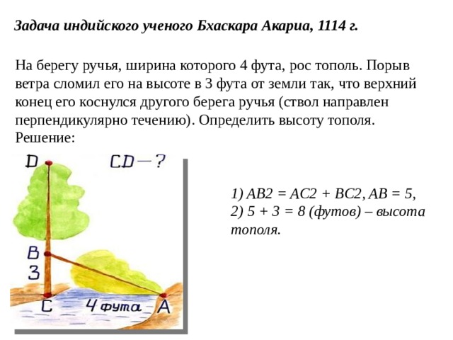 Перпендикулярно течению. На самом берегу ручья растёт Тополь. Высота тополя от. Ширина ручья. На берегу рос Тополь решение задачи.
