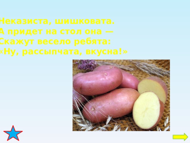 Неказиста, шишковата. А придет на стол она — Скажут весело ребята: «Ну, рассыпчата, вкусна!» 