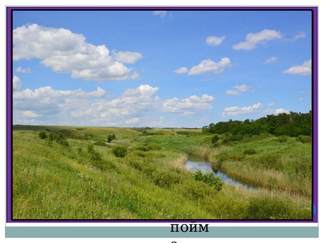 пойма 
