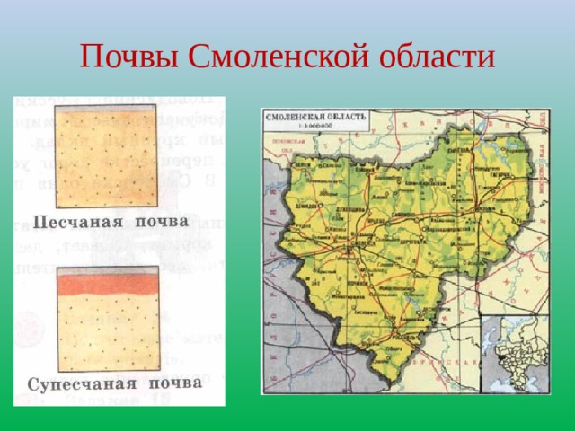 Почвы Смоленской области 