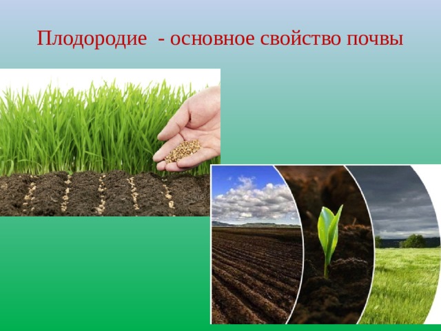 Плодородие - основное свойство почвы 