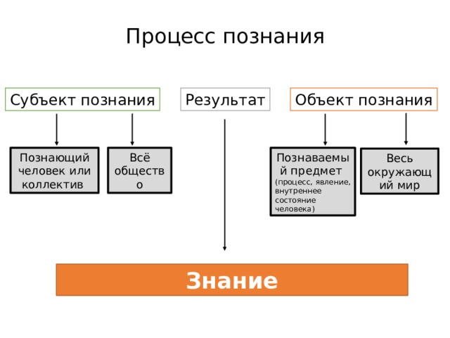 Человек объект и субъект познания план по обществознанию егэ