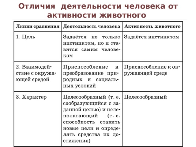 Отличие деятельности человека от животного