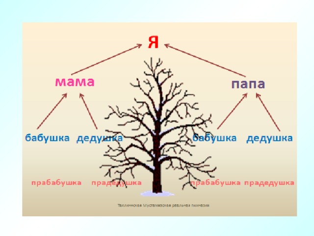 Составьте план рассказа о родственных связях между животными