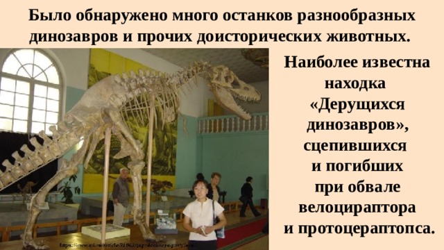 Было обнаружено много останков разнообразных динозавров и прочих доисторических животных. Наиболее известна находка «Дерущихся динозавров», сцепившихся и погибших  при обвале  велоцираптора  и протоцераптопса. 